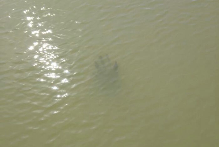 Pier underwater submechanophobia.