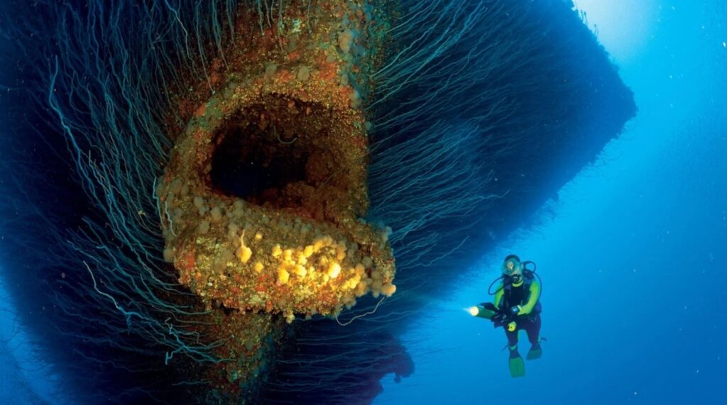 Ship wreck with algae and barnacles. Submechanophobia.