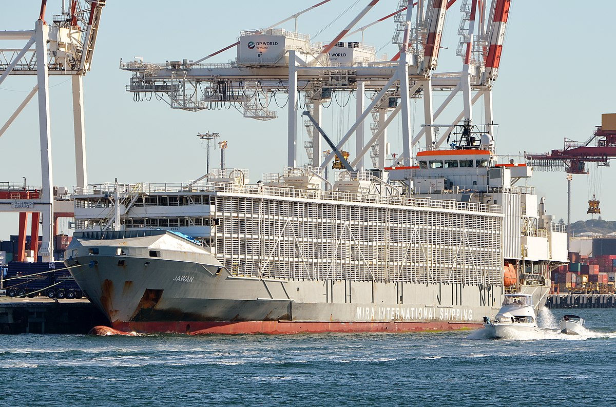 livestock carriers